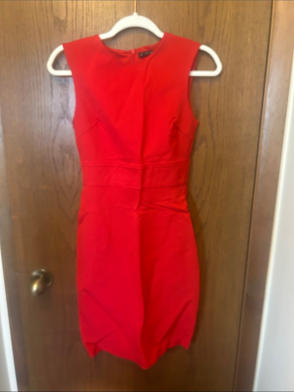 Zara Red Sleeveless Sheath Mini Dress